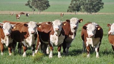 Paraguay vuelve a tener la hacienda más cara