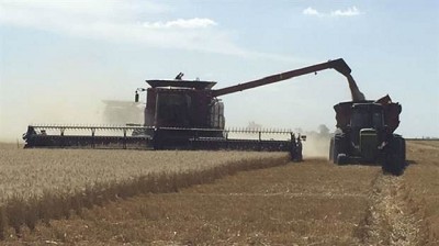 Por la suba del gasoil, el campo tendrá que gastar $ 10.850 millones más que en la campaña pasada