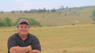 Ovinos, el verdadero valor agregado que todos necesitamos