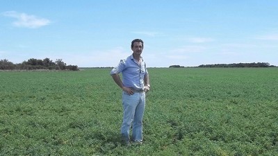 Granos y especialidades, el equilibrio justo entre manejo y negocio