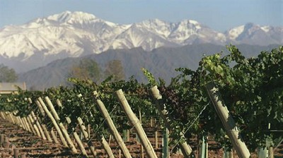 Cómo impactaría la reforma impositiva en las economías regionales