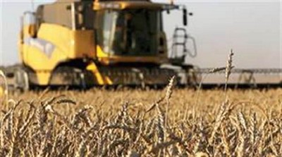 Trigo: negocian con Brasil por el posible cupo extra Mercosur