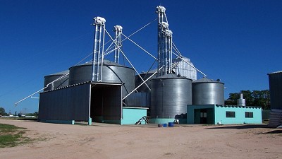 Calidad de mercado: cómo controlar insectos en granos almacenados