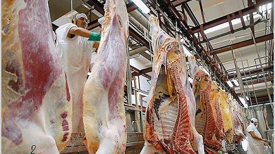Mejora la producción de carne vacuna: creció la faena 20% en octubre