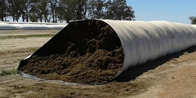 Henolaje de alfalfa, “paso a paso” para lograr un alimento de calidad