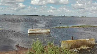 Sin cosecha, caminos intransitables y con desesperación: así sigue el drama de la inundación en Daireaux