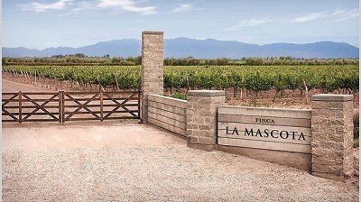 Grupo Peñaflor lanza una bodega de alta gama de venta solo online