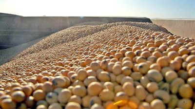 La siembra en Brasil revirtió su atraso