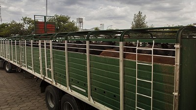 Desde el 4 de diciembre se dejará de cobrar en efectivo y cheque