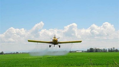 Afirman que la Argentina debe 