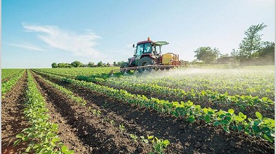 Ciclo agrícola: 70% de la inversión es con financiamiento de terceros