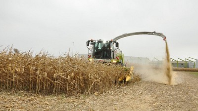 Una jornada para salir ganando