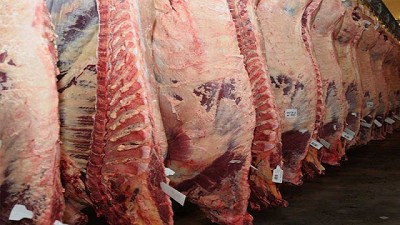 Agroindustria y AFIP unidos contra la evasión en la cadena cárnica 