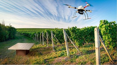 El valor de los datos para la agricultura del futuro