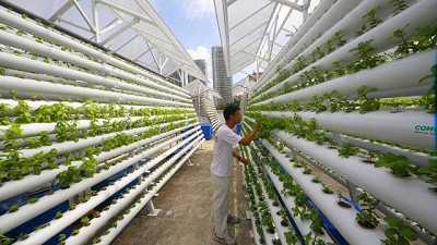 Radio: Agricultura urbana, terrazas verdes, biodiversidad y acordate que te avisé; por Ricardo Bindi