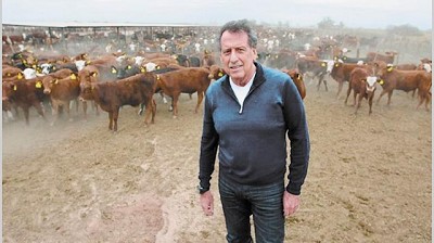 El negocio ganadero de Brito en alza: acumula ganancias de $ 102 millones en el año
