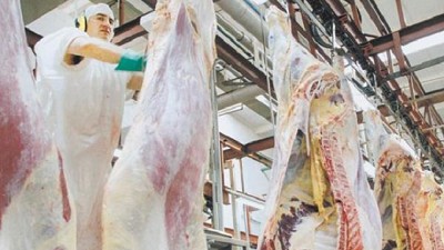 UE-Mercosur: el Gobierno podría ceder en agro a cambio de inversiones industriales