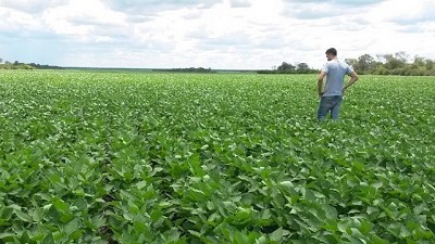 La rentabilidad del campo este año fue casi idéntica a la tasa de inflación