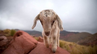 Famatina: del rechazo a la megaminería a un proyecto de parque nacional