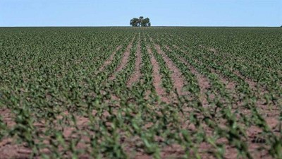 Costos al acecho: la suba del gasoil les mete presión a los números del campo