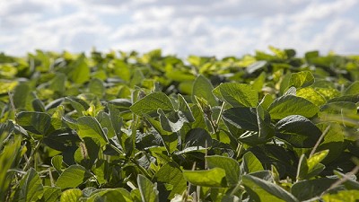 Agroindustria liberó la orden para el pago del Plan Belgrano