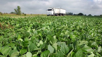 Las oportunidades en agricultura, ganadería y agroindustria