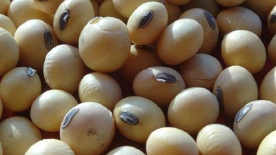 Soja: piden que siga el reintegro del 5% para los productores del Norte