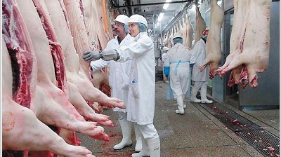 Con el IVA disminuido, esperan que bajen precios del pollo, cerdo y conejos