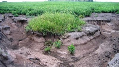 En la Argentina, se pierden US$ 30 M al año por erosión hídrica