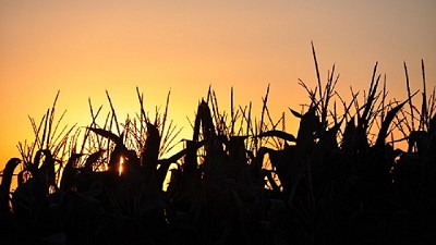 Un verano con pocas lluvias y altas temperaturas 