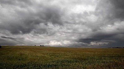 Registro de las últimas precipitaciones - 11 al 15 de diciembre