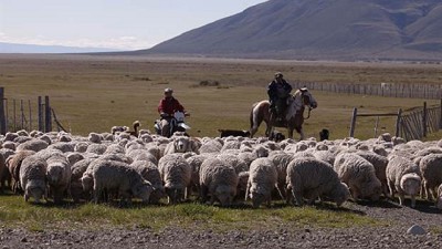 Productores patagónicos preocupados por la extensión de un Parque Nacional