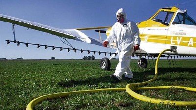 Receta fitosanitaria: el bisturí es mejor que la guadaña para los cultivos, por Jorgelina Ceferina Montoya