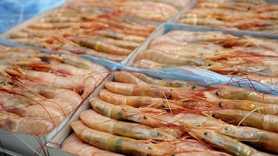 China redujo aranceles para la importación de alimentos, generando más oportunidades para Argentina