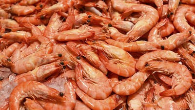 La Argentina le venderá langostinos a Australia