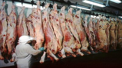 La faena de hembras llegó a 45% en noviembre