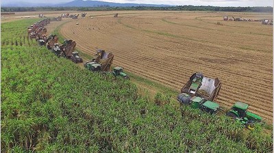 Prometen invertir u$s 5000 millones en agroalimentos