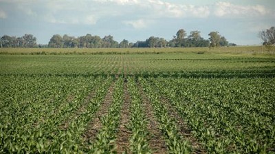 Esperan que en 2018 haya un repunte del mercado de compraventa de campos