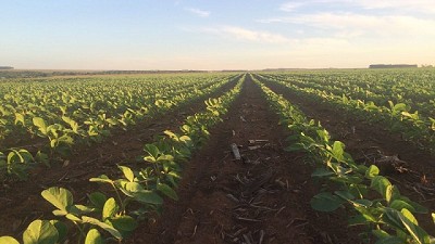 Pronóstico para el fin de semana de Navidad
