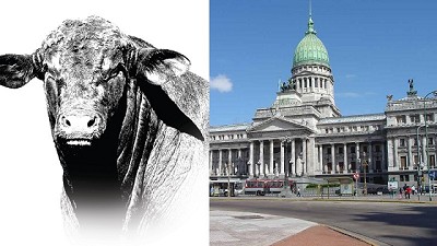 Fuerte rechazo de una entidad de productores a que el kirchnerismo presida la Comisión de Agricultura en Diputados