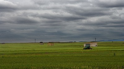 Pronóstico meteorológico para las actividades agropecuarias 