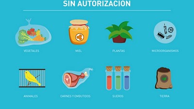 Vacaciones: consejos para turistas sobre lo que pueden ingresar a la Argentina