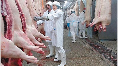 Inquietud de productores porcinos por la rebaja del IVA a las carnes