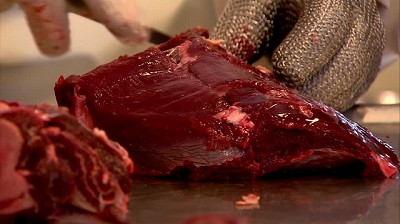 Crean diez mil kilos de carne con una sola célula de vaca