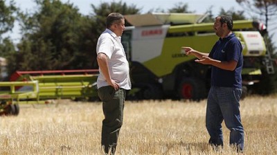 Destacan que Córdoba tendrá otra muy buena cosecha de trigo