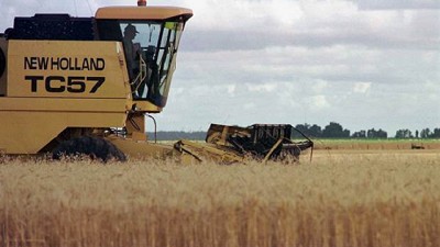 En trigo el pase a marzo rinde un 43,8% y les gana a los instrumentos financieros