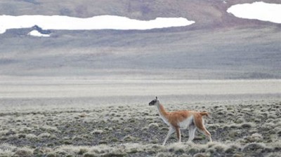 Productores de Santa Cruz cuestionan la cesión de 500.000 hectáreas de campo para ampliar un parque nacional