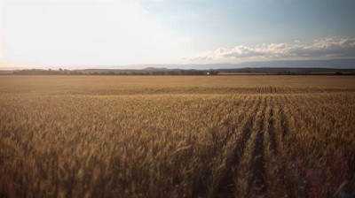 El campo en 2018: desafíos, oportunidades y amenazas en el horizonte de los productores