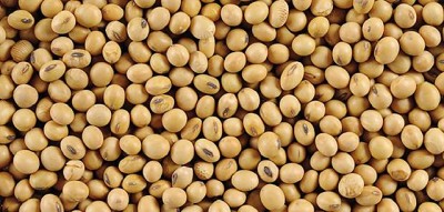 Otro escalón para los rindes, por Juan Pablo Ioele