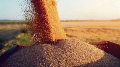 Un año marcado por las eventualidades climáticas, por Diego de la Puente